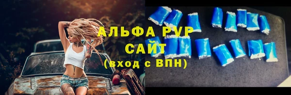 спиды Кострома
