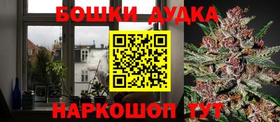 мдпв Нальчик