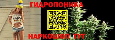 мдпв Нальчик