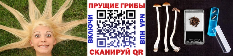 Галлюциногенные грибы мухоморы  Удомля 