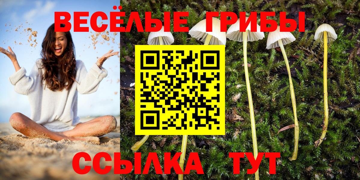 Псилоцибиновые грибы прущие грибы  Вход с VPN  цена   Удомля 