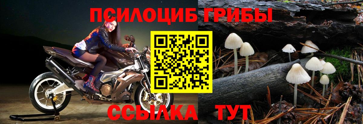 Псилоцибиновые грибы MAGIC MUSHROOMS Удомля